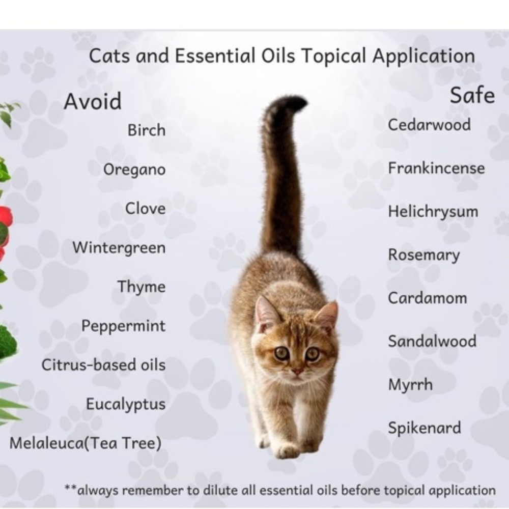 Meet your Posher, Maryam